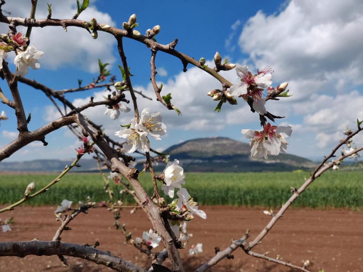 Galilee Best Location Konuk evi 'En Dor Dış mekan fotoğraf