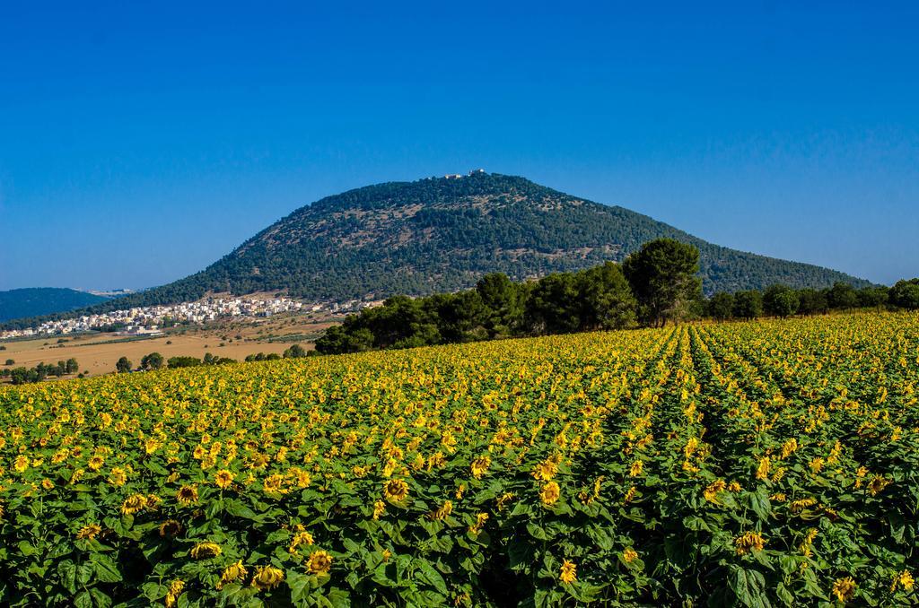 Galilee Best Location Konuk evi 'En Dor Dış mekan fotoğraf